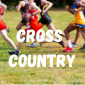 cross country.png