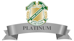 sponsor PLATINUM.png