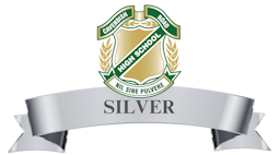 sponsor SILVER.png