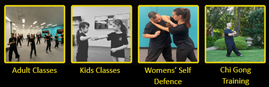 wing chun images.png